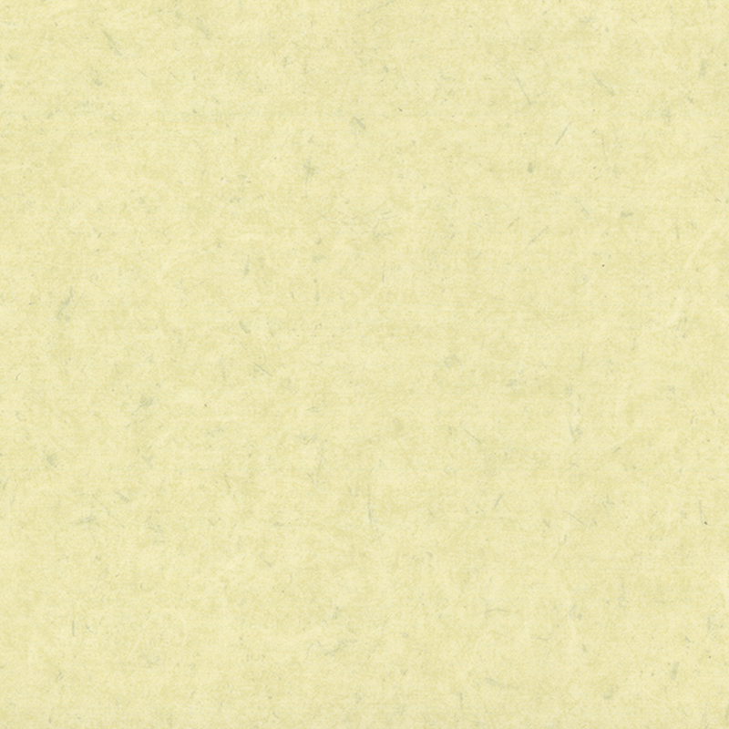 พื้นต่างกันป้องกันแบคทีเรียและป้องกันไฟฟ้าสถิต