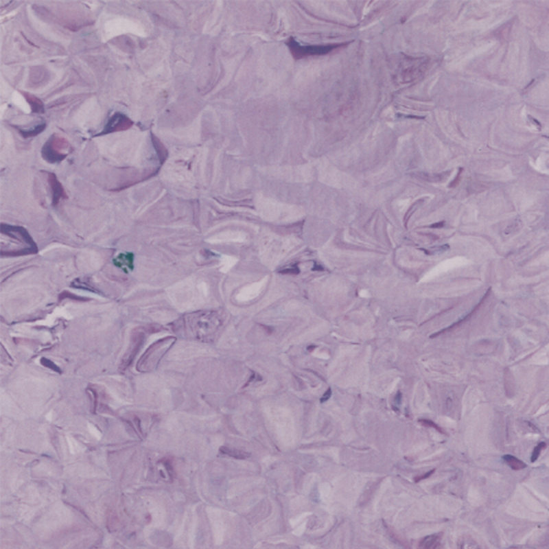 พื้นเป็นเนื้อเดียวกัน perfectbalance