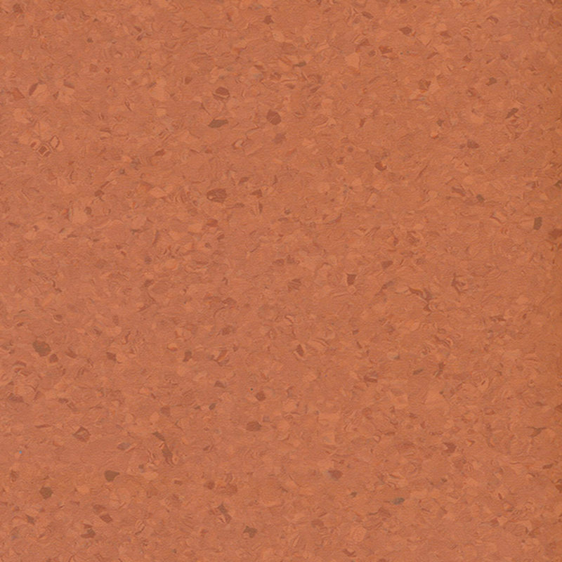 พื้นเป็นเนื้อเดียวกันหลากสี