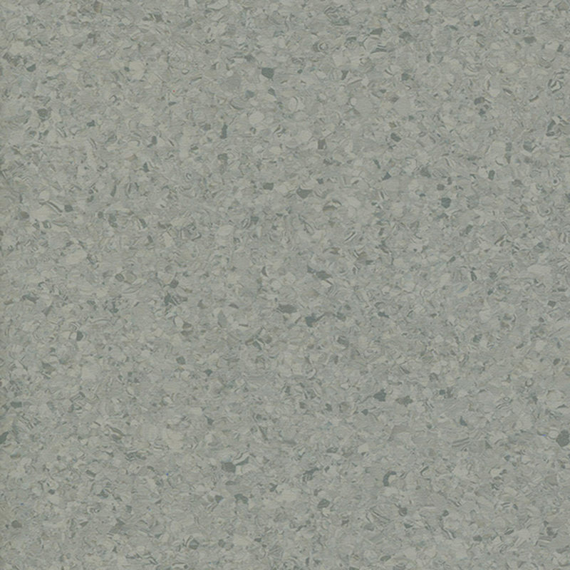 พื้นเป็นเนื้อเดียวกันหลากสี