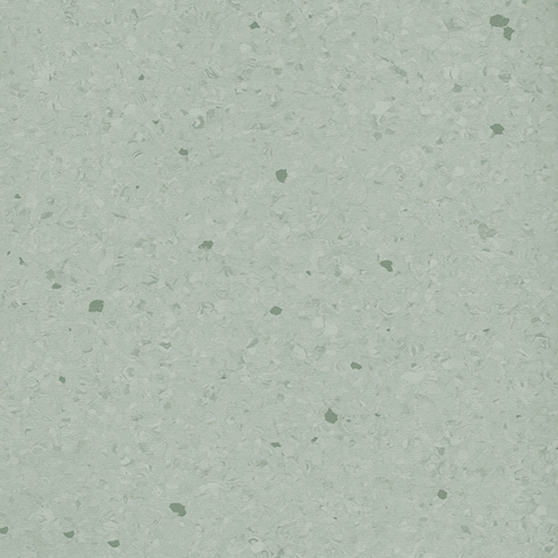 พื้นเป็นเนื้อเดียวกันหลากสี