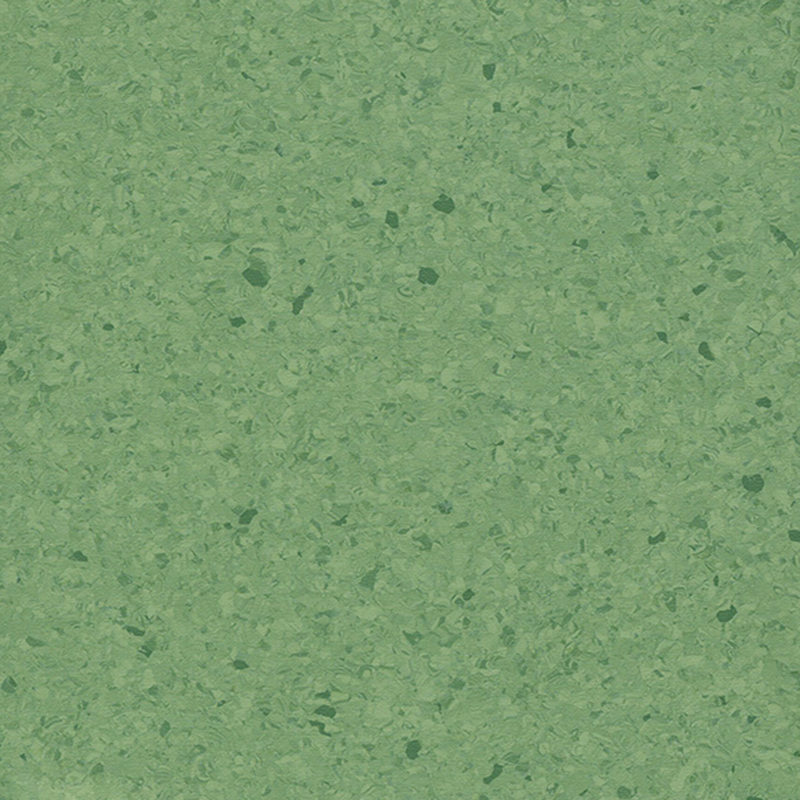 พื้นเป็นเนื้อเดียวกันหลากสี