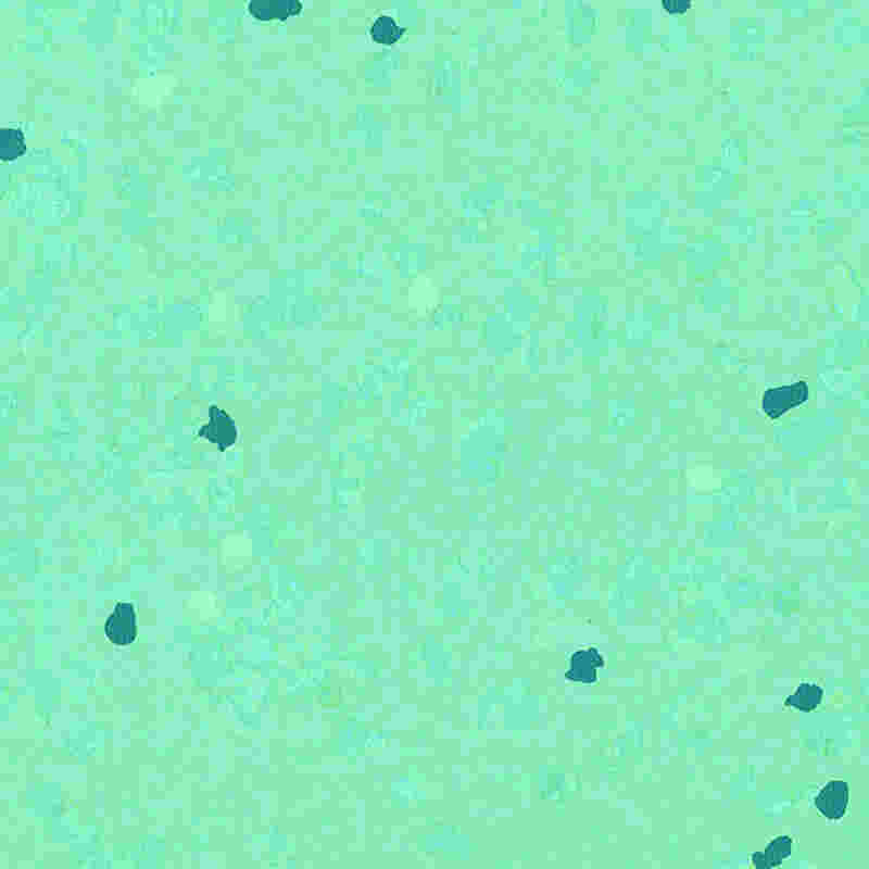 พื้นยางกันรอยขีดข่วนและยืดหยุ่นสูง