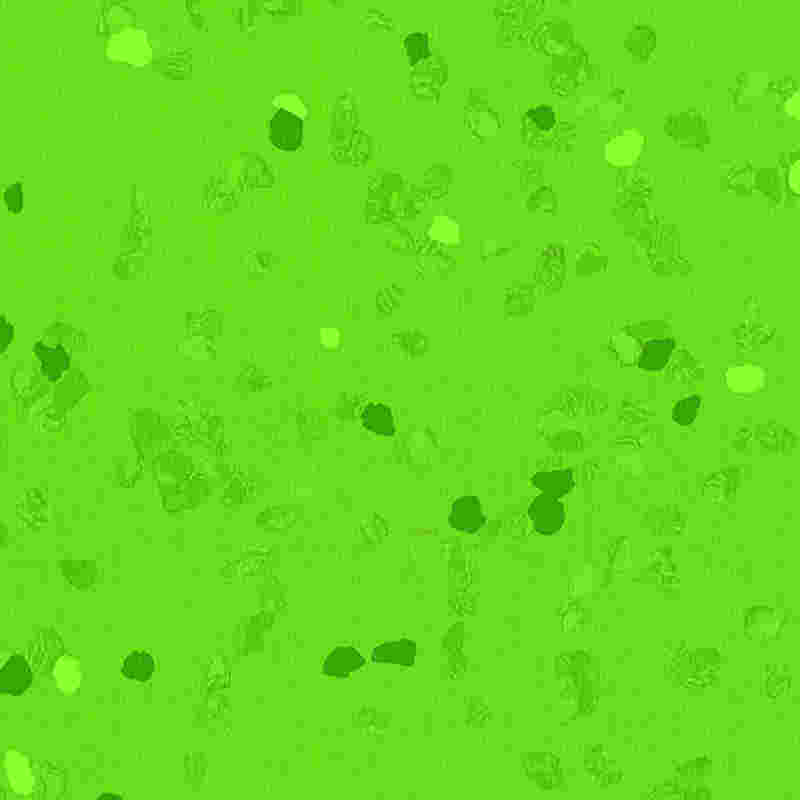 พื้นยางกันรอยขีดข่วนและยืดหยุ่นสูง