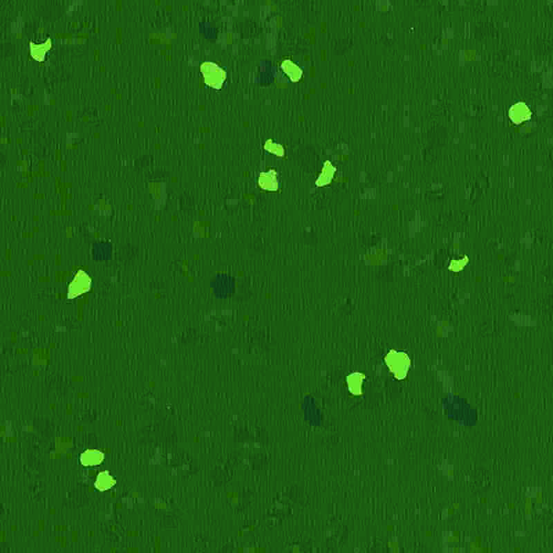 พื้นยางกันรอยขีดข่วนและยืดหยุ่นสูง