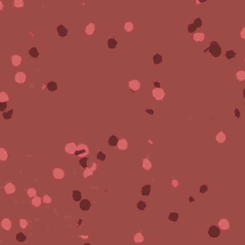 พื้นยางและพลาสติกทนไฟและกันน้ำ