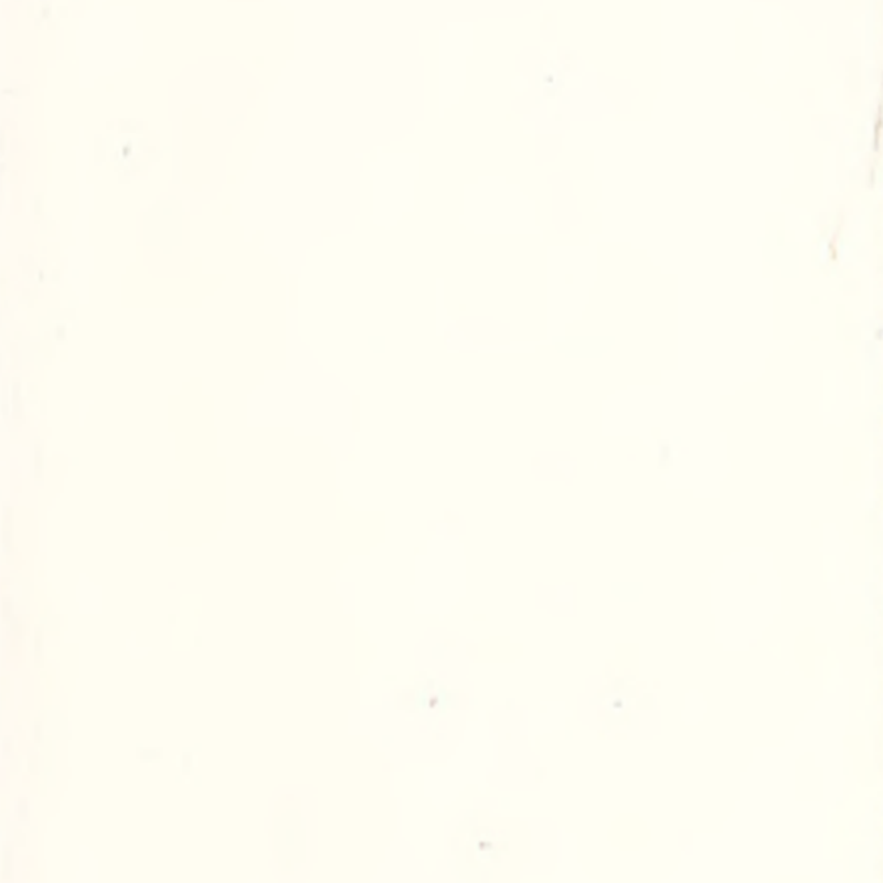 ความสามารถในการปรับตัวสูงและพื้นยางไร้รอยต่อ