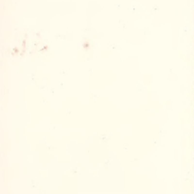 ความสามารถในการปรับตัวสูงและพื้นยางไร้รอยต่อ