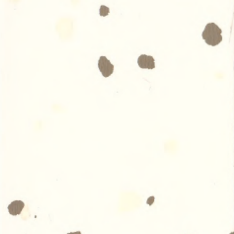 พื้นยางสิ่งแวดล้อม