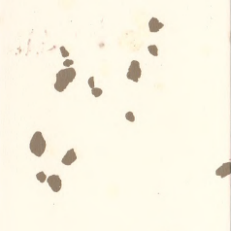 พื้นยางสิ่งแวดล้อม